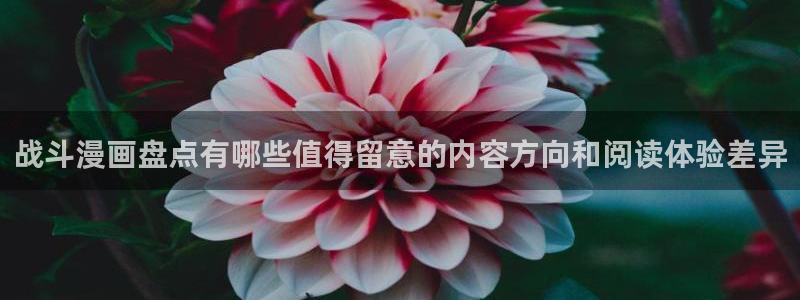 免费漫画阅读网