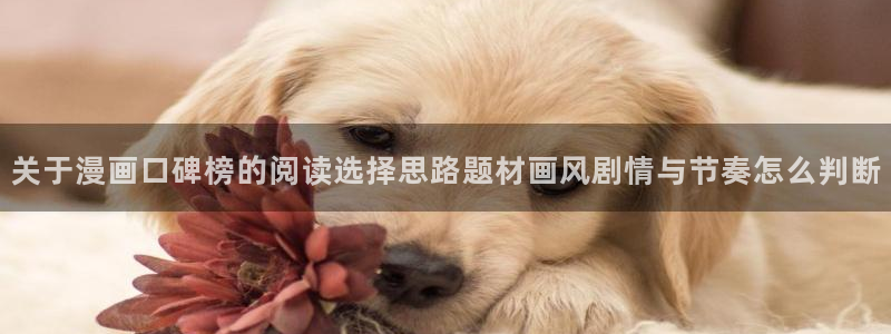 在线免费看漫画网站