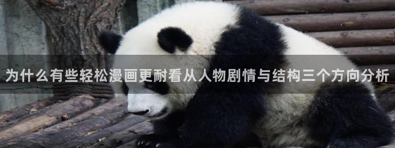 能免费看漫画的网站