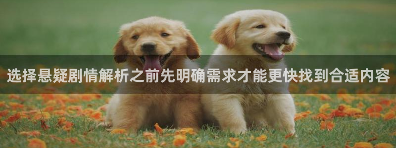 免费看漫画人气排行